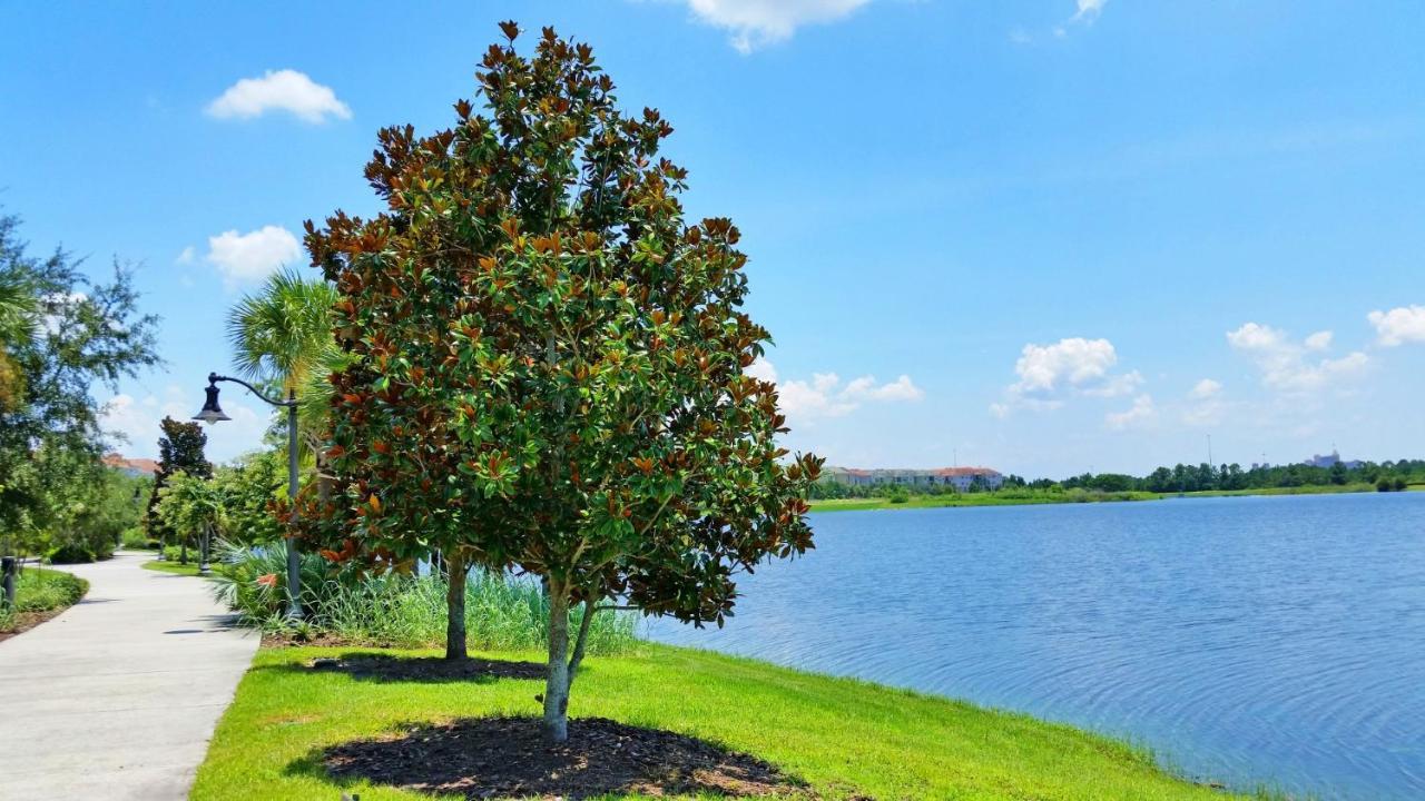 Stunning Top-Floor Condo, Next To Clubhouse Ορλάντο Εξωτερικό φωτογραφία